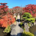 Muzyczne podróże przez świat. Japonia. Himeji / Fot. Danuta Rasała