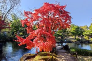 Muzyczne podróże przez świat. Japonia. Himeji / Fot. Danuta Rasała