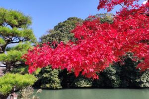 Muzyczne podróże przez świat. Japonia. Himeji / Fot. Danuta Rasała