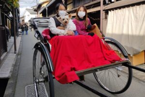 Muzyczne podróże przez świat. Japonia. Takayama / Fot. Danuta Rasała