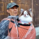 Muzyczne podróże przez świat. Japonia. Takayama / Fot. Danuta Rasała