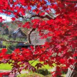 Muzyczne podróże przez świat. Japonia. Takayama - skansen / Fot. Danuta Rasała