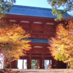 Muzyczne podróże przez świat. Japonia. Koya-san / Fot. Danuta Rasała