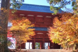 Muzyczne podróże przez świat. Japonia. Koya-san / Fot. Danuta Rasała