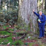 Muzyczne podróże przez świat. Jesień w Japonii. Cz. 2 Świat szogunów i mnichów - Radio Kielce