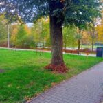 Kielce. Ulica Jesionowa. Planowana lokalizacja ekranu akustycznego / Fot. Krzysztof Czmiel
