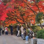 Muzyczne podróże przez świat. Japonia. Okoyama / Fot. Danuta Rasała
