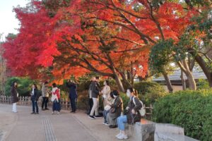 Muzyczne podróże przez świat. Japonia. Okoyama / Fot. Danuta Rasała