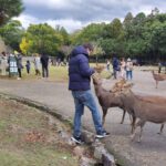 Muzyczne podróże przez świat. Japonia. Nara / Fot. Danuta Rasała