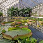 Muzyczne podróże przez świat. Japonia. Beppu / Fot. Danuta Rasała