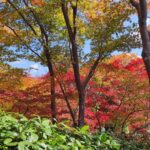 Muzyczne podróże przez świat. Japonia. Kioto / Fot. Danuta Rasała