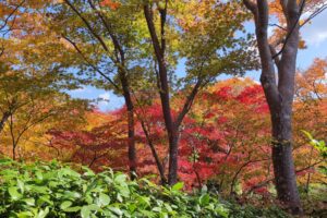 Muzyczne podróże przez świat. Japonia. Kioto / Fot. Danuta Rasała