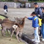 Muzyczne podróże przez świat. Japonia. Nara / Fot. Danuta Rasała