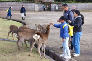 Muzyczne podróże przez świat. Japonia. Nara / Fot. Danuta Rasała