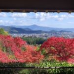 Muzyczne podróże przez świat. Japonia. Kioto / Fot. Danuta Rasała