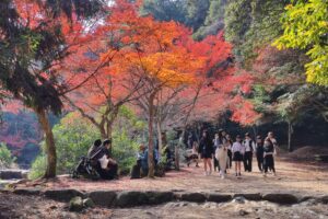 Muzyczne podróże przez świat. Japonia. Miyajima / Fot. Danuta Rasała