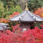 Muzyczne podróże przez świat. Japonia. Miyajima / Fot. Danuta Rasała