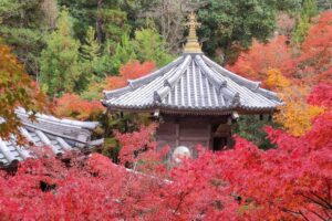 Muzyczne podróże przez świat. Japonia. Miyajima / Fot. Danuta Rasała