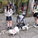 Muzyczne podróże przez świat. Japonia. Kioto / Fot. Danuta Rasała