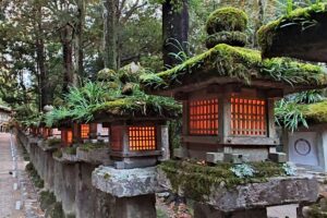 Muzyczne podróże przez świat. Japonia. Nara / Fot. Danuta Rasała