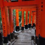 Muzyczne podróże przez świat. Japonia. Kioto / Fot. Danuta Rasała