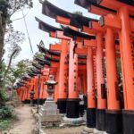 Muzyczne podróże przez świat. Japonia. Kioto / Fot. Danuta Rasała