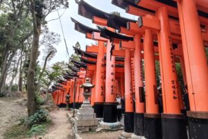 Muzyczne podróże przez świat. Japonia. Kioto / Fot. Danuta Rasała