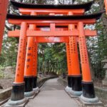 Muzyczne podróże przez świat. Japonia. Kioto / Fot. Danuta Rasała