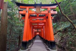 Muzyczne podróże przez świat. Japonia. Kioto / Fot. Danuta Rasała