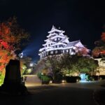 Muzyczne podróże przez świat. Japonia. Okoyama / Fot. Danuta Rasała