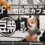 Muzyczne podróże przez świat. Japonia. Kurashiki / Fot. Danuta Rasała