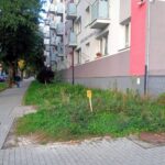 Kielce. Ulica Jesionowa. Planowana lokalizacja ekranu akustycznego / Fot. Krzysztof Czmiel