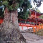 Muzyczne podróże przez świat. Japonia. Nara / Fot. Danuta Rasała