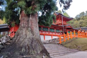 Muzyczne podróże przez świat. Japonia. Nara / Fot. Danuta Rasała