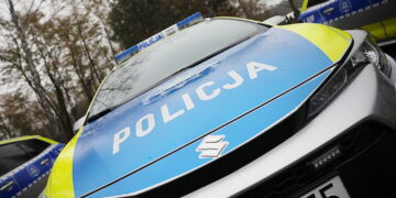 Groźnie na krajowej „73”. Zderzenie ciężarówki z łosiem