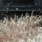 18.11.2024 Kielce. Pierwszy Śnieg / Fot. Wiktor Taszłow - Radio Kielce