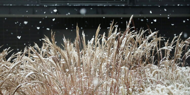 Ponad dwa tysiące interwencji strażaków po opadach śniegu i deszczu ze śniegiem - Radio Kielce 18.11.2024 Kielce. Pierwszy Śnieg / Fot. Wiktor Taszłow - Radio Kielce