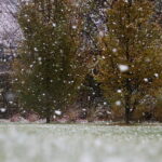 18.11.2024 Kielce. Pierwszy Śnieg / Fot. Wiktor Taszłow - Radio Kielce