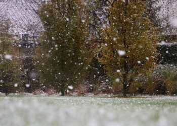 18.11.2024 Kielce. Pierwszy Śnieg / Fot. Wiktor Taszłow - Radio Kielce