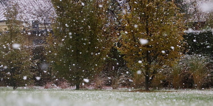 18.11.2024 Kielce. Pierwszy Śnieg / Fot. Wiktor Taszłow - Radio Kielce