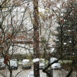 IMGW ostrzega przed intensywnymi opadami śniegu