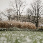 18.11.2024 Kielce. Pierwszy Śnieg / Fot. Wiktor Taszłow - Radio Kielce