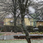 18.11.2024 Kielce. Pierwszy Śnieg / Fot. Wiktor Taszłow - Radio Kielce