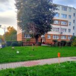 Kielce. Ulica Jesionowa. Planowana lokalizacja ekranu akustycznego / Fot. Krzysztof Czmiel