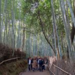 Muzyczne podróże przez świat. Japonia. Kioto / Fot. Danuta Rasała