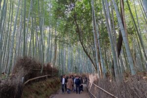 Muzyczne podróże przez świat. Japonia. Kioto / Fot. Danuta Rasała