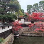 Muzyczne podróże przez świat. Japonia. Kurashiki / Fot. Danuta Rasała