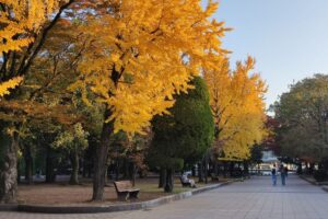 Muzyczne podróże przez świat. Japonia. Hiroszima / Fot. Danuta Rasała