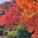 Muzyczne podróże przez świat. Japonia. Hiroszima / Fot. Danuta Rasała