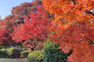 Muzyczne podróże przez świat. Japonia. Hiroszima / Fot. Danuta Rasała